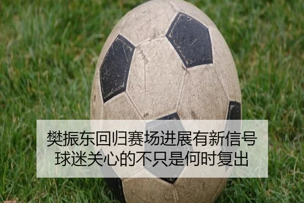 樊振东回归赛场进展有新信号 球迷关心的不只是何时复出